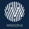 Windsor.ai 