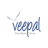Veepal SEO