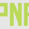 Pain Nil Powder