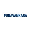 Purva Northern Lights