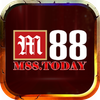 m88 today