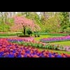 Archana Singh Holly Springs