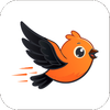 Bird Pitch