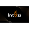 Intozi Tech Pvt Ltd