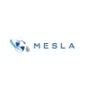 Mesla Lighting