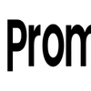 Promer SEO